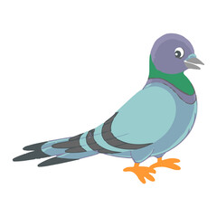 Pigeon vector illustration art work