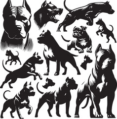 Pitbull dog vector illustration in black and white