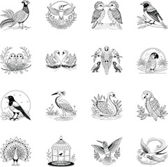 Modern Collection of Vintage Aves Illustrations

