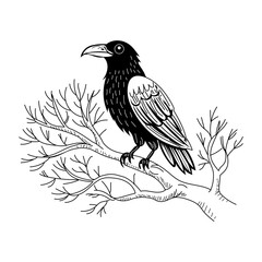 Vintage illustration of buzzard perched on branch