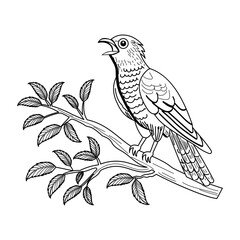 Cuckoos call illustration in vintage style