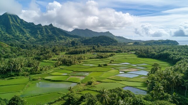 Aerial view of a lush green landscape with rice paddies and mountains under a cloudy sky - Powered by Adobe
