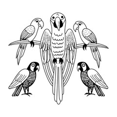 Vintage illustration of a flock of macaws