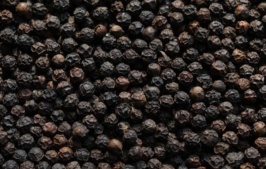 Black pepper seeds. Selective focus. Peppercorn. Piper nigrum.
