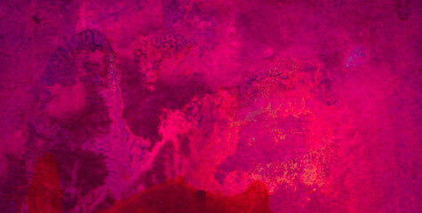 Let the Vivid Colors and Intricate Abstract Patterns Ignite Your Imagination