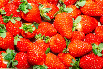 Ripe strawberries close up. Red berry background 