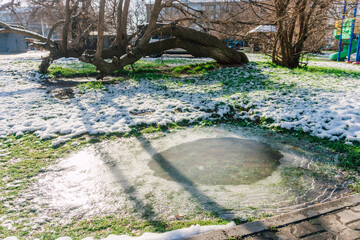 a frozen puddle on the street. water covered with a layer of ice