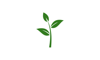 green leaf design