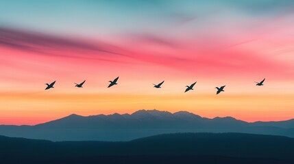 Obraz premium Run-down landscapes in a national park Aircraft flying in formation against a colorful sunset sky.