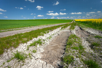 Obraz premium Remaining water in a puddle and dry earth next to the agricultural fields with a dirt road, eastern Poland
