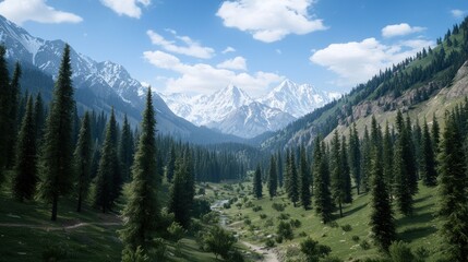 Obraz premium Majestic Mountain Valley Landscape