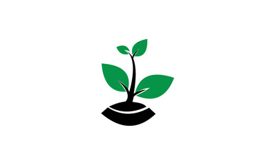 green leaf logo icon