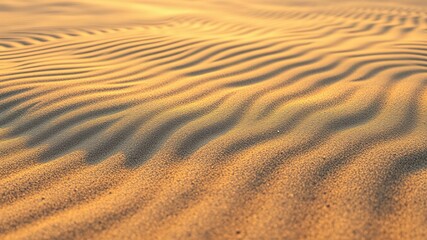 Stunning Sand Ripple Texture - High-Resolution Photo