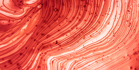 A Vivid Tapestry of Colors and Abstract Forms