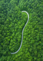 Aerial View of a Road in a Forest, Drone View of a Forest Road
