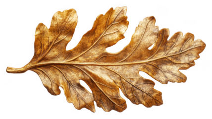[Closeup of unique jagged leaf] Jagged Green Leaf on Round Surface