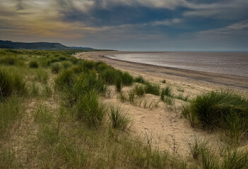 Sand Dunes on Whiteford Beach near Llanmadoc, The Gower Peninsula, South Wales, G.B.