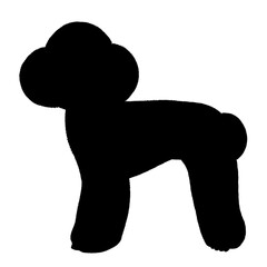 トイプードルのシルエット