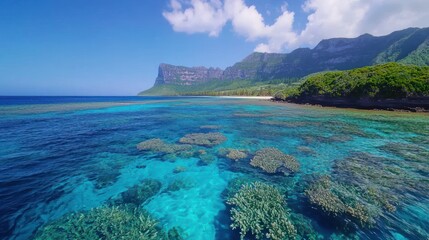 Vibrant Coral Reef and Tropical Coast