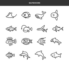 Obraz premium Sea Fish Icons