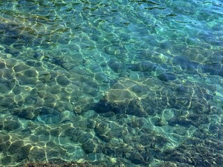 Ocean crystal clear water with algae 