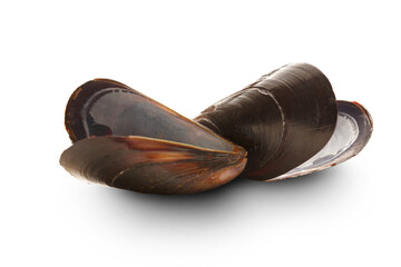 Sea mussels isolated on white © Sergey Yarochkin