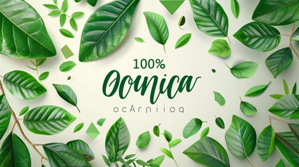 Organic Green Leaf Round Frame Vector