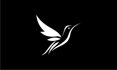 bird logo vector