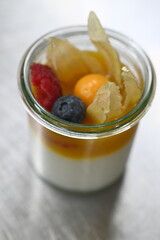 Tapioca pudding with fruit puree and fresh fruit, served in a glass, creates a vibrant and refreshing dessert experience.