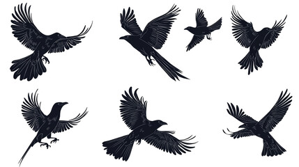 Obraz premium Majestic Birds in Flight: A Collection of Crow Silhouettes