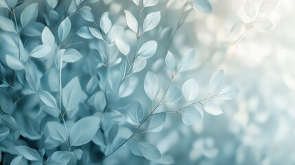 Fototapeta premium Soft Pastel Blurred Flowers