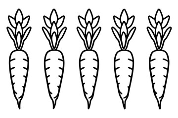 Carrot Line Art Vector Bundle