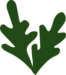 Hand Drawn Leaves Plant