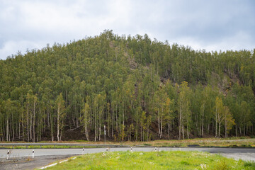 Lush green hillside under cloudy skies with tree-covered slopes near a winding road in a tranquil rural area