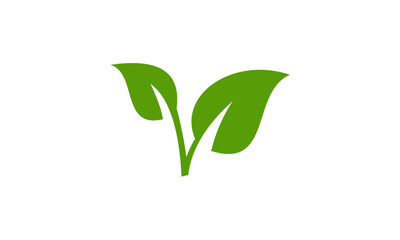 green leaf logo