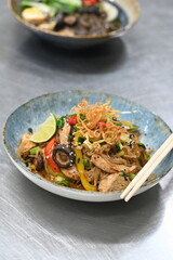 A close-up shot of a healthy, vibrant dish featuring Konjac noodles with tender chicken and a variety of fresh vegetables.