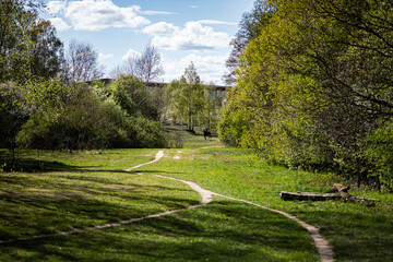 landscape in the park