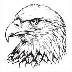 coat of arms with eagle and shield