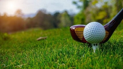 Golf clubs and golf balls on a green lawn in a beautiful golf course with morning sunshine.