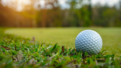 Golf ball on green grass in the evening golf course with sunshine background.