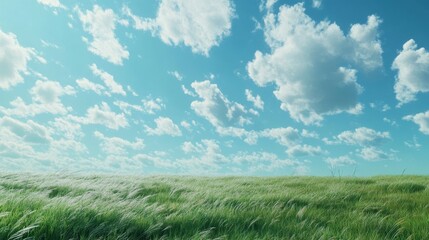 Obraz premium Serene Landscape with Lush Green Grass and Blue Sky Full of Clouds