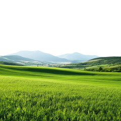 Obraz premium A green field with mountain 