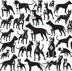 Pitbull dog vector illustration in black and white