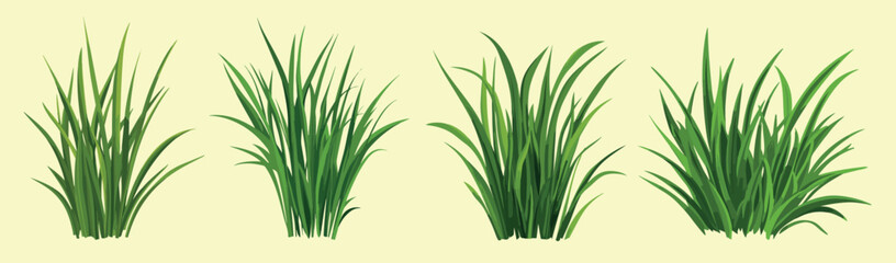 lush green grass illustration, vector element set
