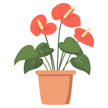 red anthurium flowers in terracotta pot clip art preview