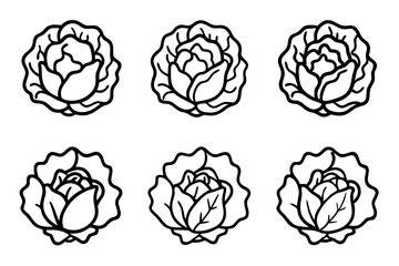 Lettuce Line Art Vector Bundle