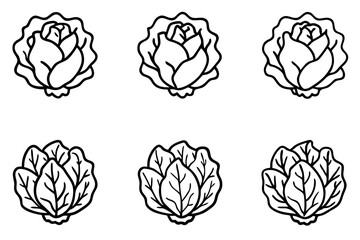 Lettuce Line Art Vector Bundle