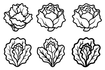 Lettuce Line Art Vector Bundle
