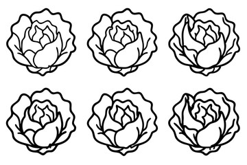 Lettuce Line Art Vector Bundle