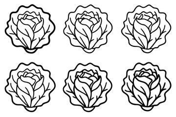 Lettuce Line Art Vector Bundle